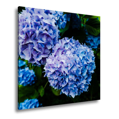 Leinwandbild Blauer Blütenzauber im vollen Glanz XXL – Blumen Wandbild - deyoli