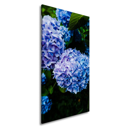 Leinwandbild Blauer Blütenzauber im vollen Glanz XXL – Blumen Wandbild - deyoli