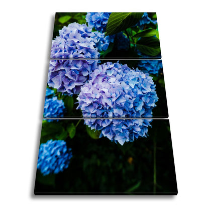 Leinwandbild Blauer Blütenzauber im vollen Glanz XXL – Blumen Wandbild - deyoli