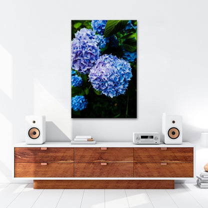 Leinwandbild Blauer Blütenzauber im vollen Glanz XXL – Blumen Wandbild - deyoli