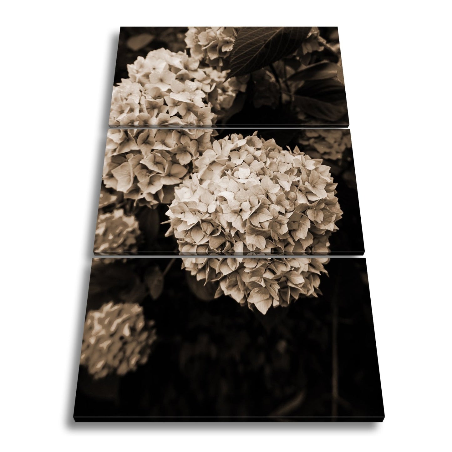 Leinwandbild Blauer Blütenzauber im vollen Glanz XXL – Blumen Wandbild - deyoli