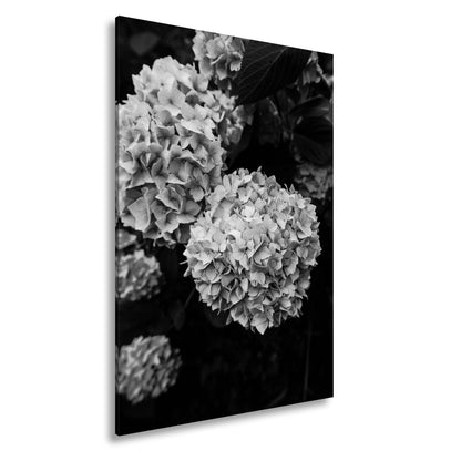 Leinwandbild Blauer Blütenzauber im vollen Glanz XXL – Blumen Wandbild - deyoli