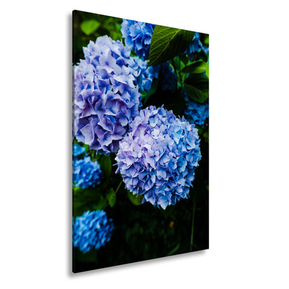 Leinwandbild Blauer Blütenzauber im vollen Glanz XXL – Blumen Wandbild - deyoli