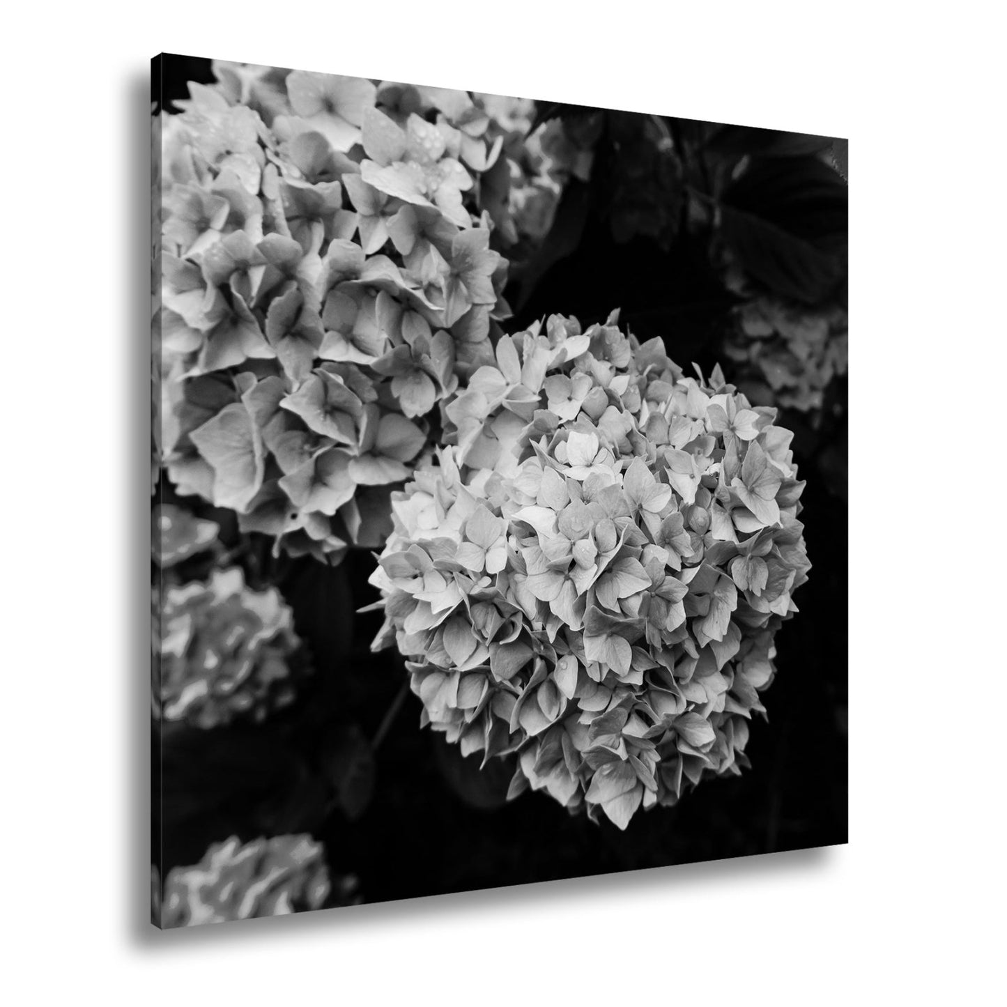Leinwandbild Blauer Blütenzauber im vollen Glanz XXL – Blumen Wandbild - deyoli