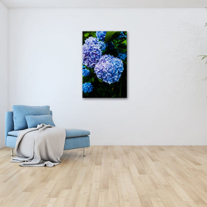 Leinwandbild Blauer Blütenzauber im vollen Glanz XXL – Blumen Wandbild - deyoli