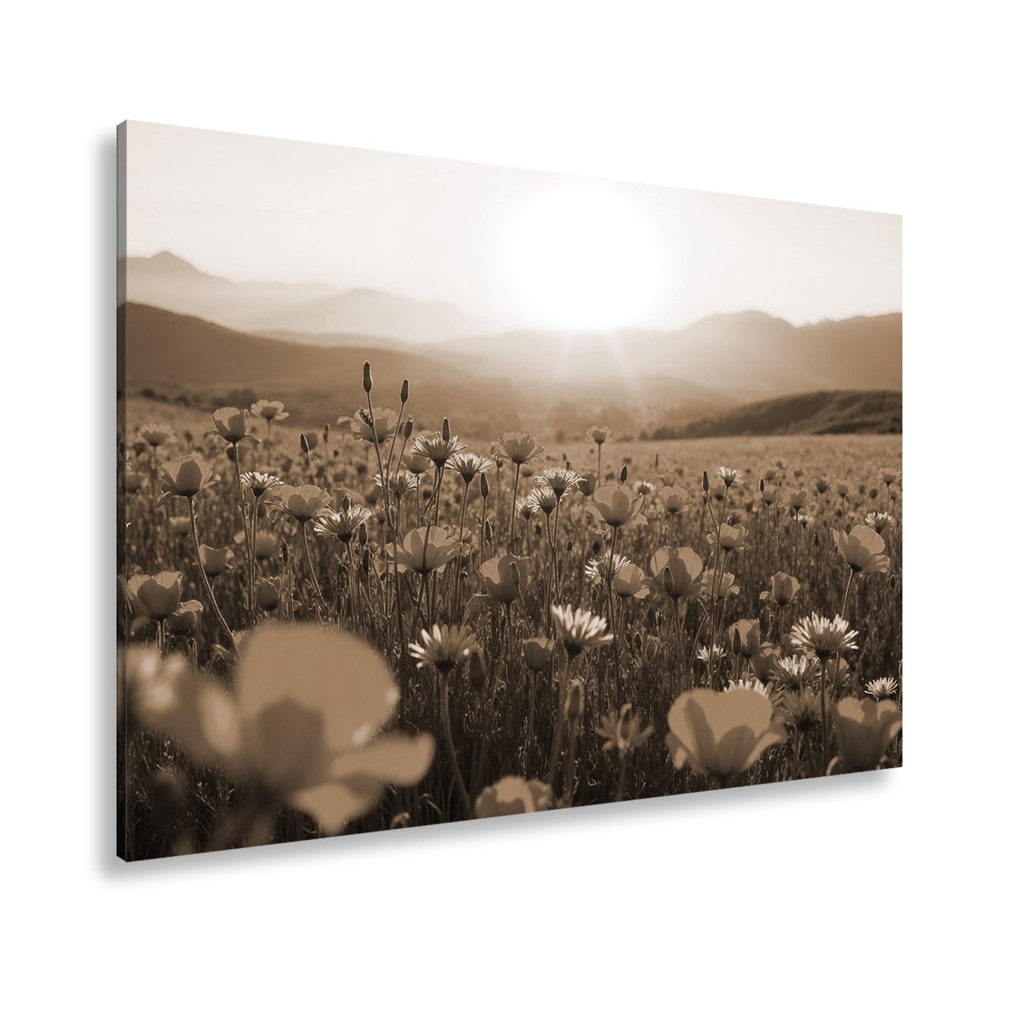 Leinwandbild Blühendes Paradies im goldenen Glanz der Abendsonne. - deyoli