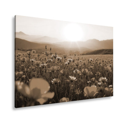 Leinwandbild Blühendes Paradies im goldenen Glanz der Abendsonne. - deyoli