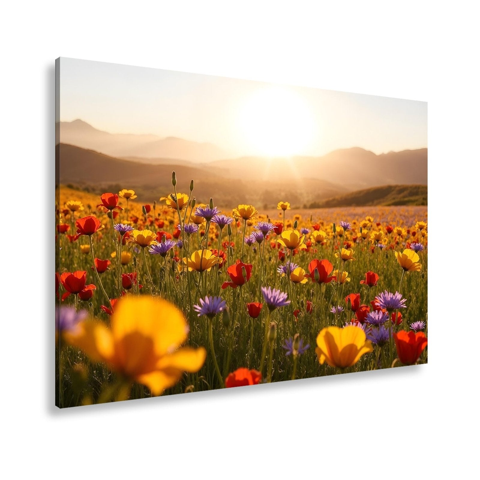 Leinwandbild Blühendes Paradies im goldenen Glanz der Abendsonne. - deyoli