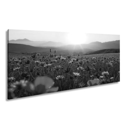 Leinwandbild Blühendes Paradies im goldenen Glanz der Abendsonne. - deyoli