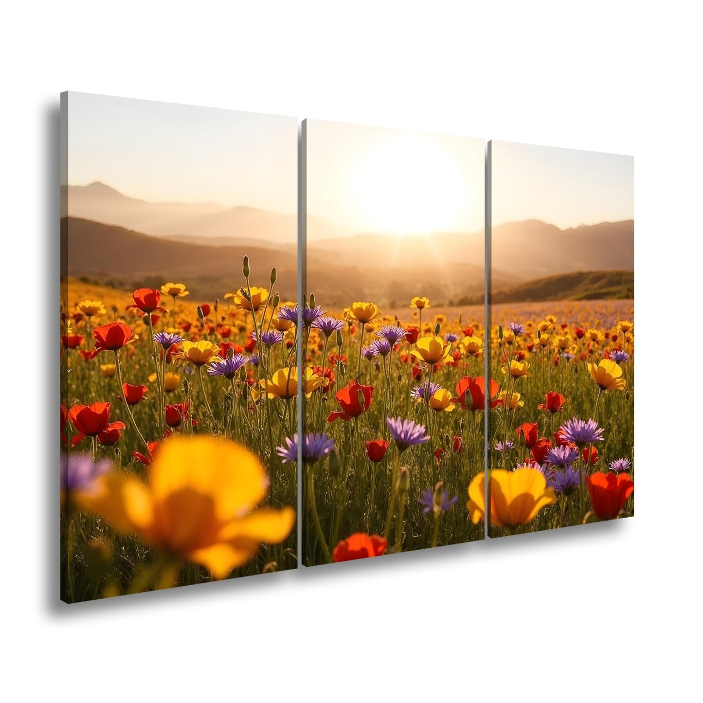 Leinwandbild Blühendes Paradies im goldenen Glanz der Abendsonne. - deyoli