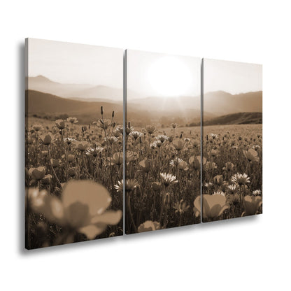 Leinwandbild Blühendes Paradies im goldenen Glanz der Abendsonne. - deyoli
