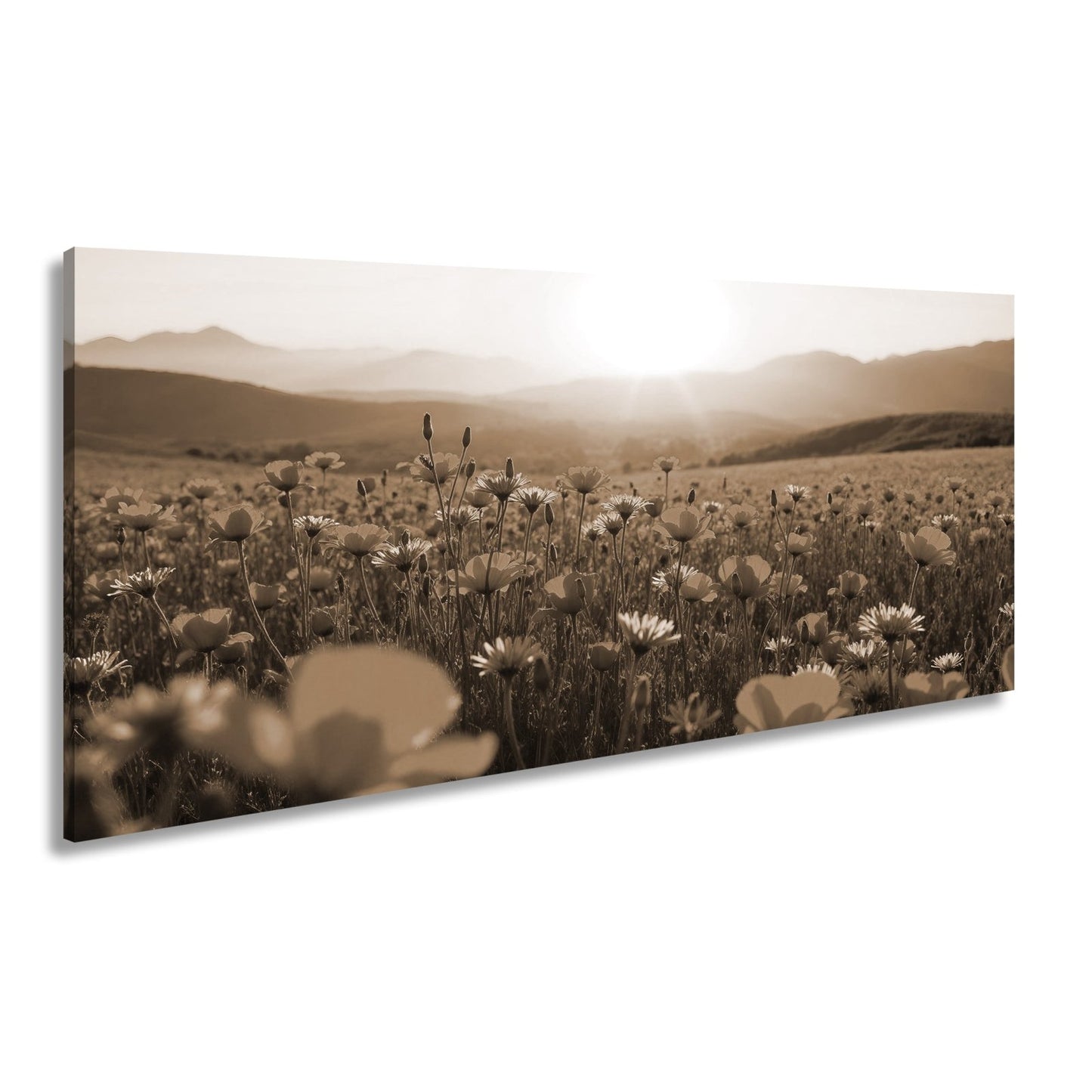 Leinwandbild Blühendes Paradies im goldenen Glanz der Abendsonne. - deyoli