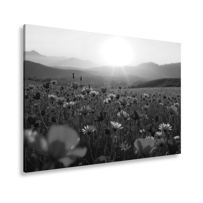 Leinwandbild Blühendes Paradies im goldenen Glanz der Abendsonne. - deyoli