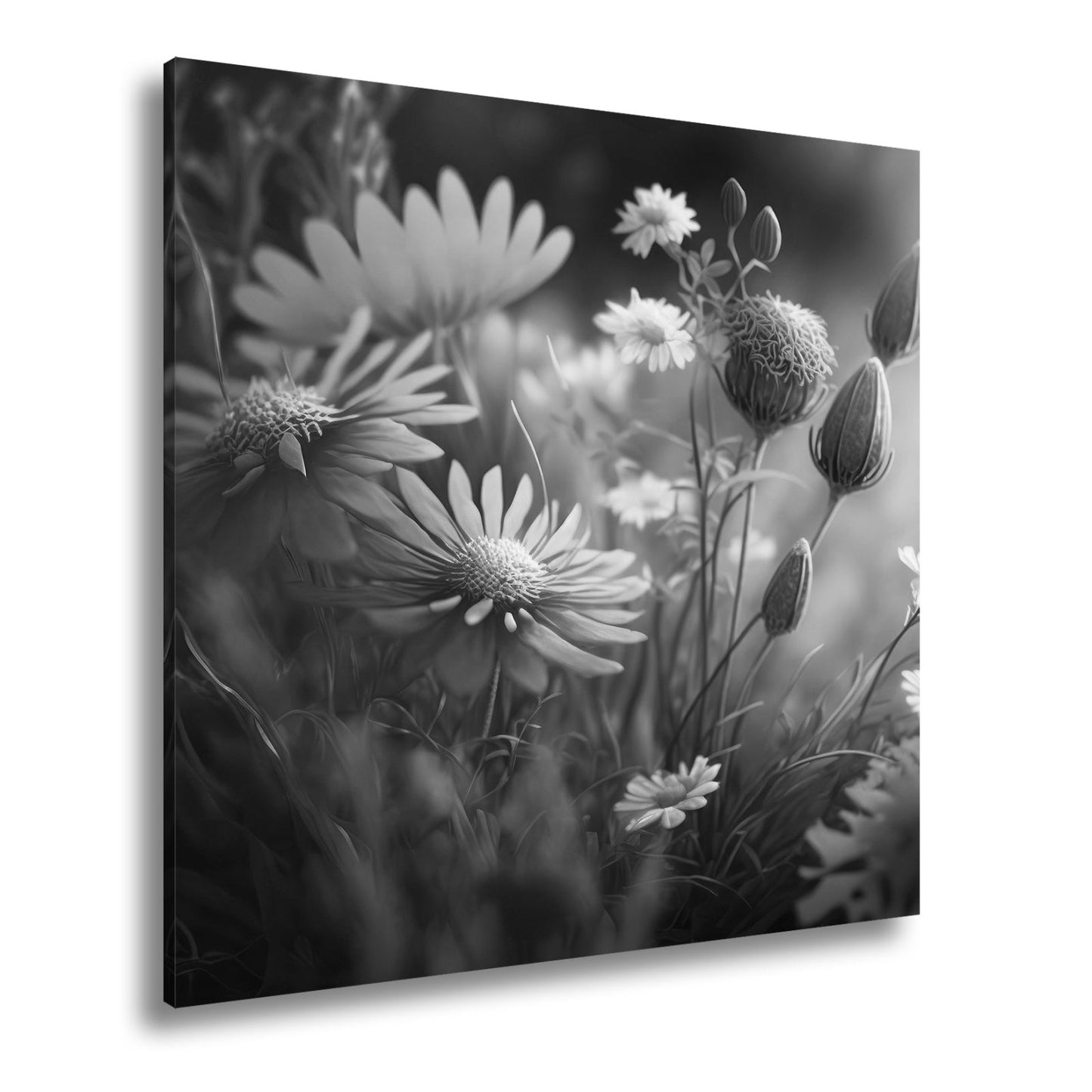 Leinwandbild Blüten erwachen im goldenen Hauch des frühen Morgens. - deyoli