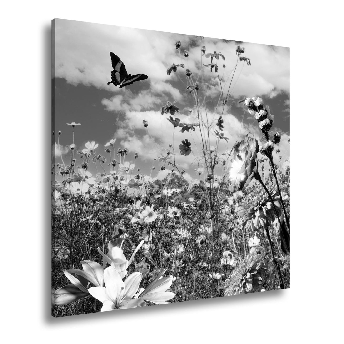 Leinwandbild Blütenmeer tanzt mit Schmetterling im Hauch des Sommers. - deyoli