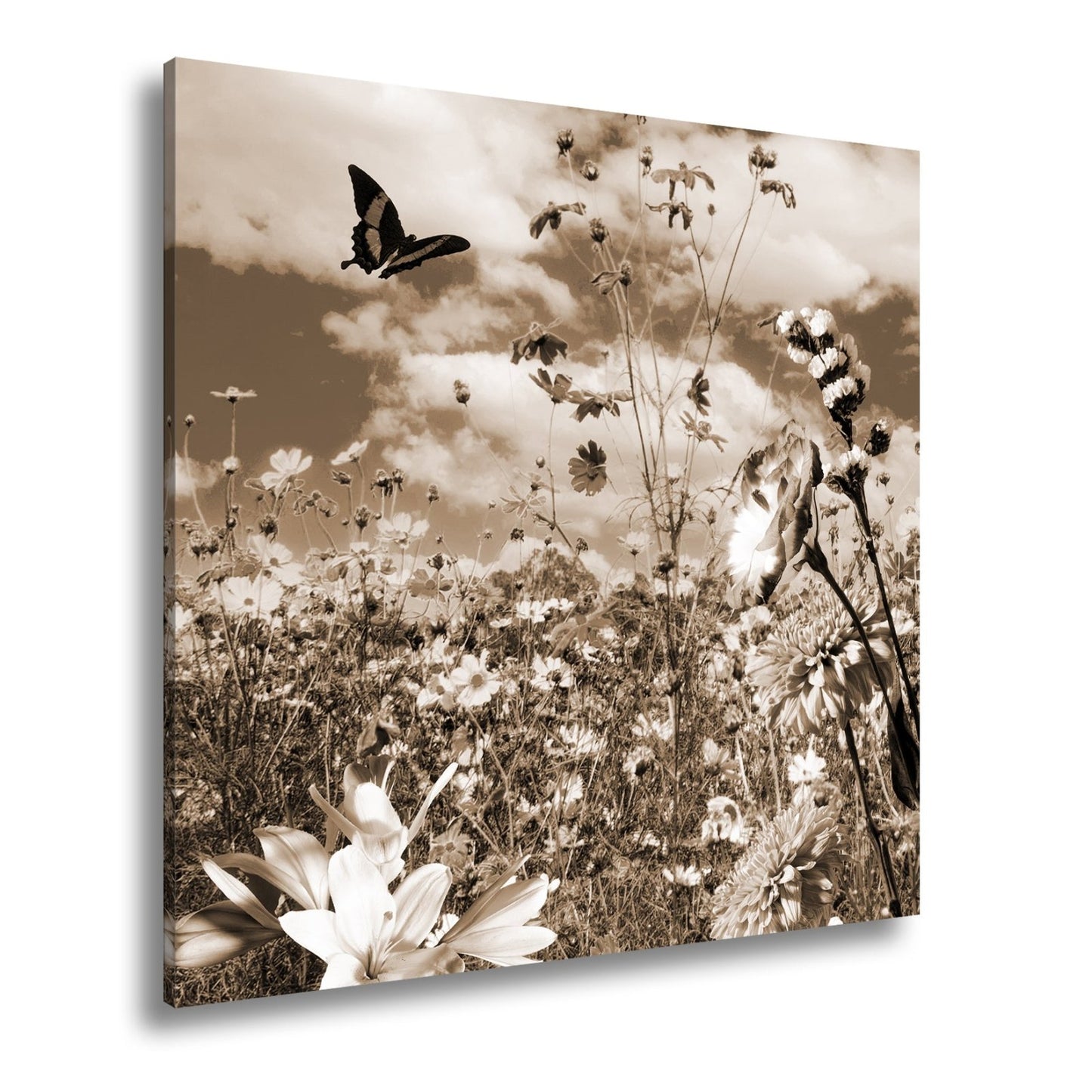 Leinwandbild Blütenmeer tanzt mit Schmetterling im Hauch des Sommers. - deyoli