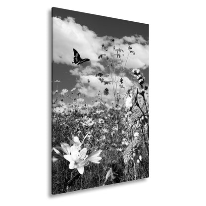 Leinwandbild Blütenmeer tanzt mit Schmetterling im Hauch des Sommers. - deyoli