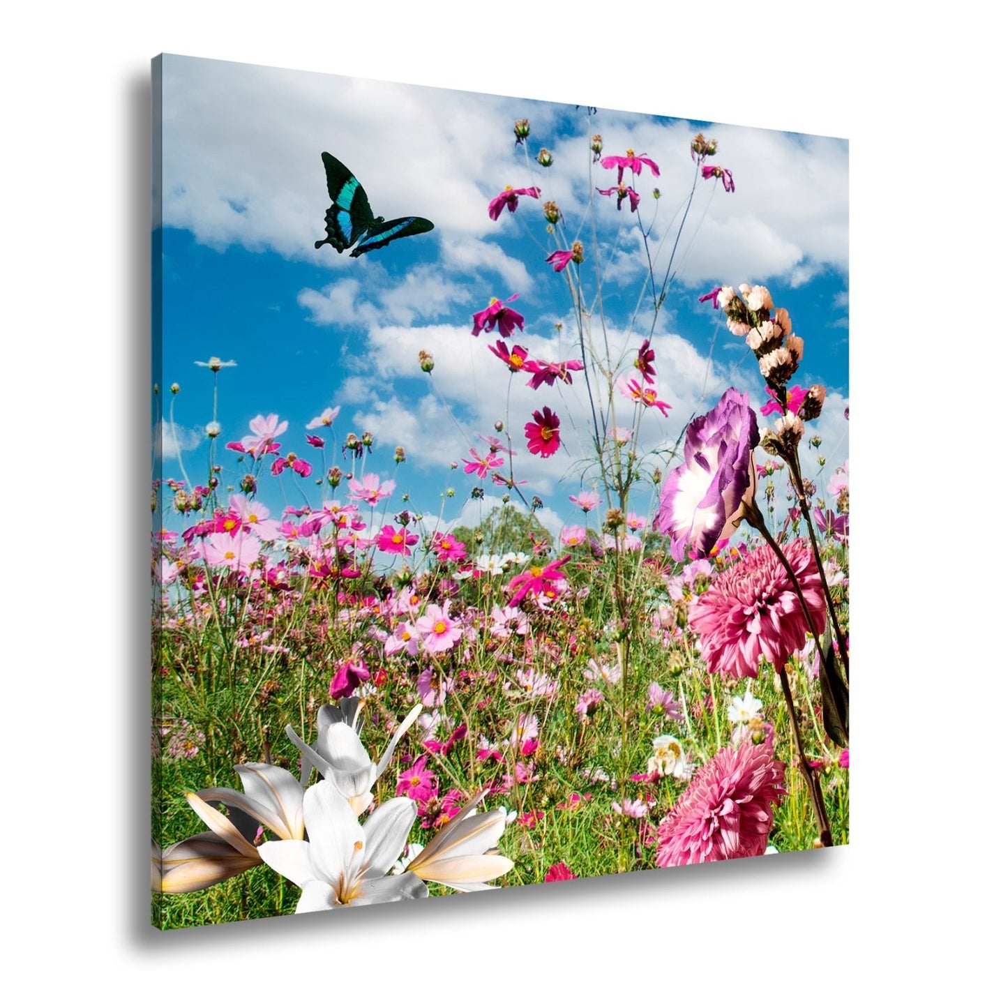 Leinwandbild Blütenmeer tanzt mit Schmetterling im Hauch des Sommers. - deyoli