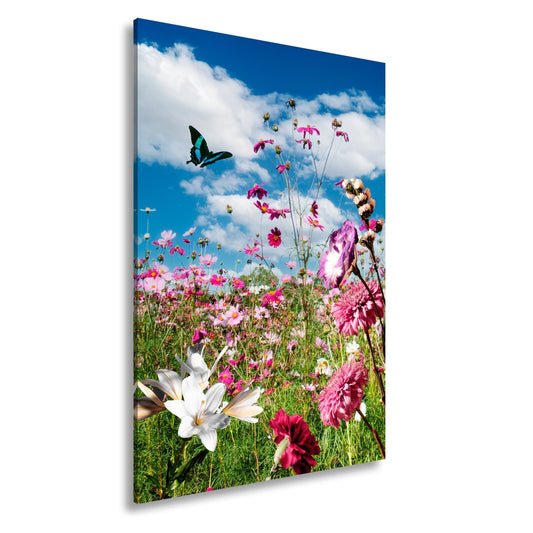 Leinwandbild Blütenmeer tanzt mit Schmetterling im Hauch des Sommers. - deyoli