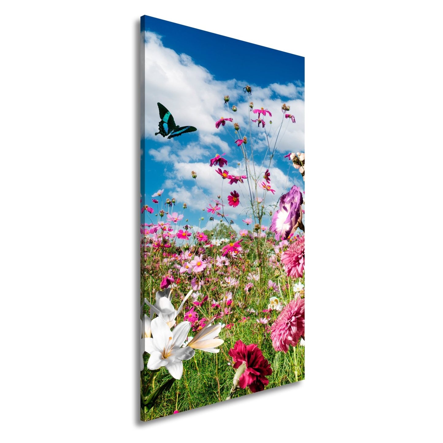 Leinwandbild Blütenmeer tanzt mit Schmetterling im Hauch des Sommers. - deyoli