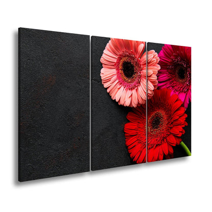 Leinwandbild Blütenpoesie in Pink und Rot auf dunkler Leinwand. - deyoli