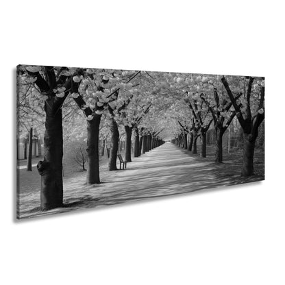 Leinwandbild Blütentunnel aus Kirschträumen – Frühling in voller Pracht. - deyoli