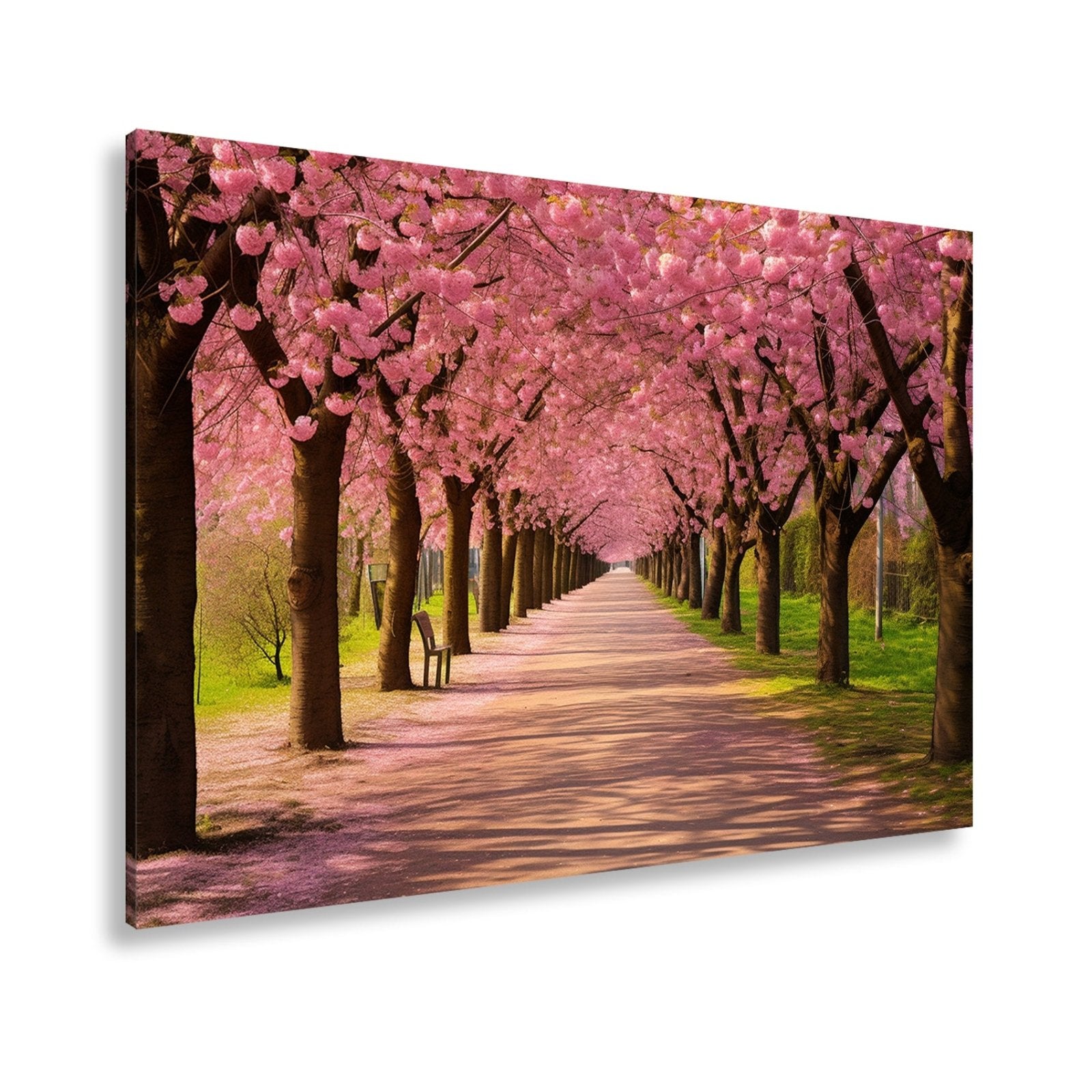 Leinwandbild Blütentunnel aus Kirschträumen – Frühling in voller Pracht. - deyoli
