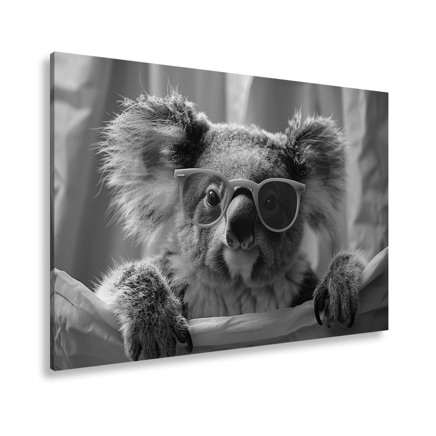 Leinwandbild Brillenstar im Beutelreich – Koala mit Sonnenbrille im Rampenlicht. - deyoli