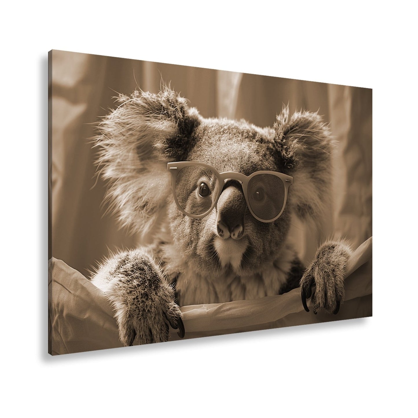 Leinwandbild Brillenstar im Beutelreich – Koala mit Sonnenbrille im Rampenlicht. - deyoli