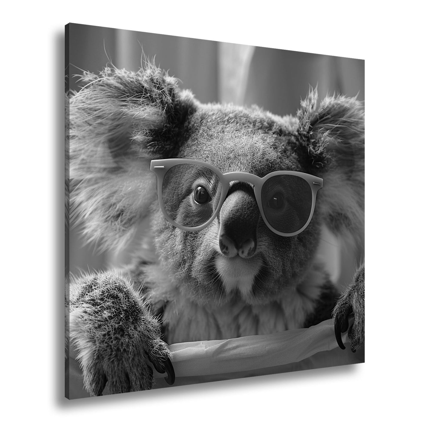 Leinwandbild Brillenstar im Beutelreich – Koala mit Sonnenbrille im Rampenlicht. - deyoli