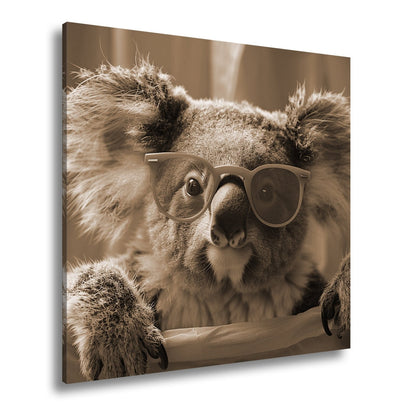 Leinwandbild Brillenstar im Beutelreich – Koala mit Sonnenbrille im Rampenlicht. - deyoli