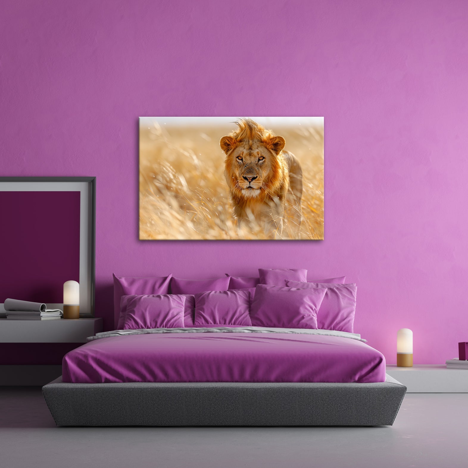 Leinwandbild Der König der Savanne durchstreift goldenes Gras. - deyoli