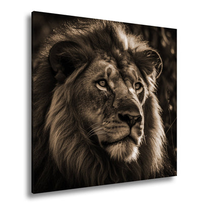 Leinwandbild Der König der Savanne im Glanz des letzten Lichts - deyoli