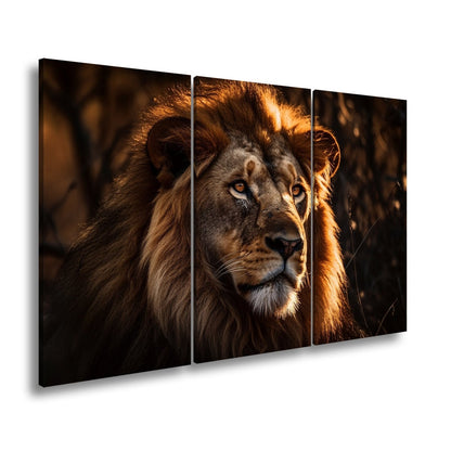 Leinwandbild Der König der Savanne im Glanz des letzten Lichts - deyoli