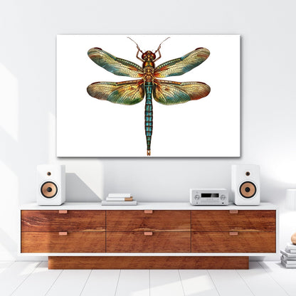Leinwandbild Detailreiche Libelle mit schimmernden Flügeln - deyoli