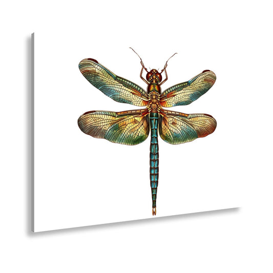 Leinwandbild Detailreiche Libelle mit schimmernden Flügeln - deyoli