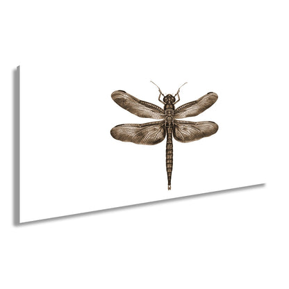 Leinwandbild Detailreiche Libelle mit schimmernden Flügeln - deyoli