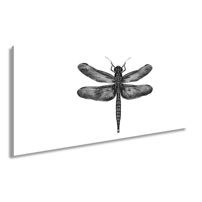 Leinwandbild Detailreiche Libelle mit schimmernden Flügeln - deyoli