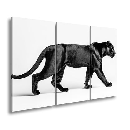 Leinwandbild Die schwarze Eleganz einer lautlosen Jägerin - deyoli