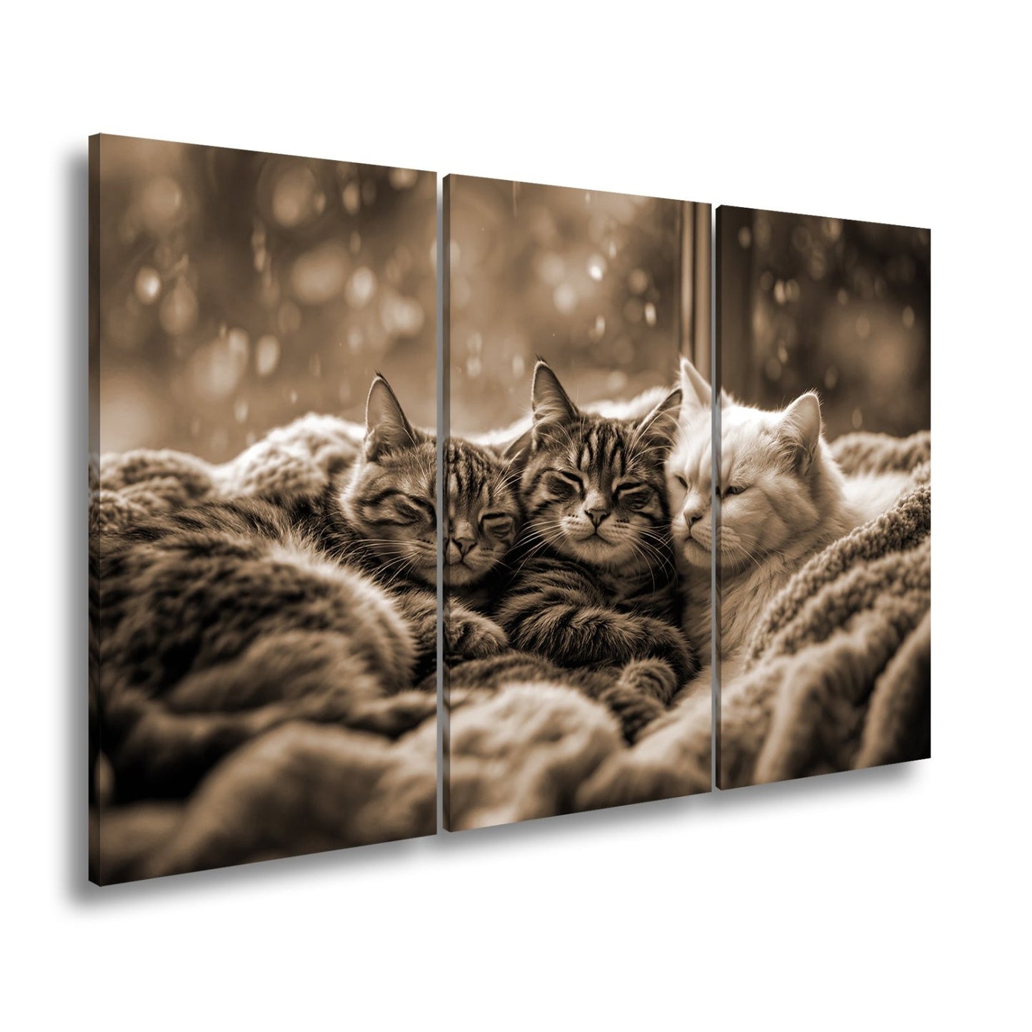 Leinwandbild Drei Katzen, ein Traum – vereint im Regenfensterzauber - deyoli