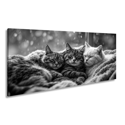 Leinwandbild Drei Katzen, ein Traum – vereint im Regenfensterzauber - deyoli
