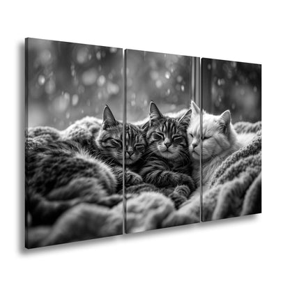 Leinwandbild Drei Katzen, ein Traum – vereint im Regenfensterzauber - deyoli