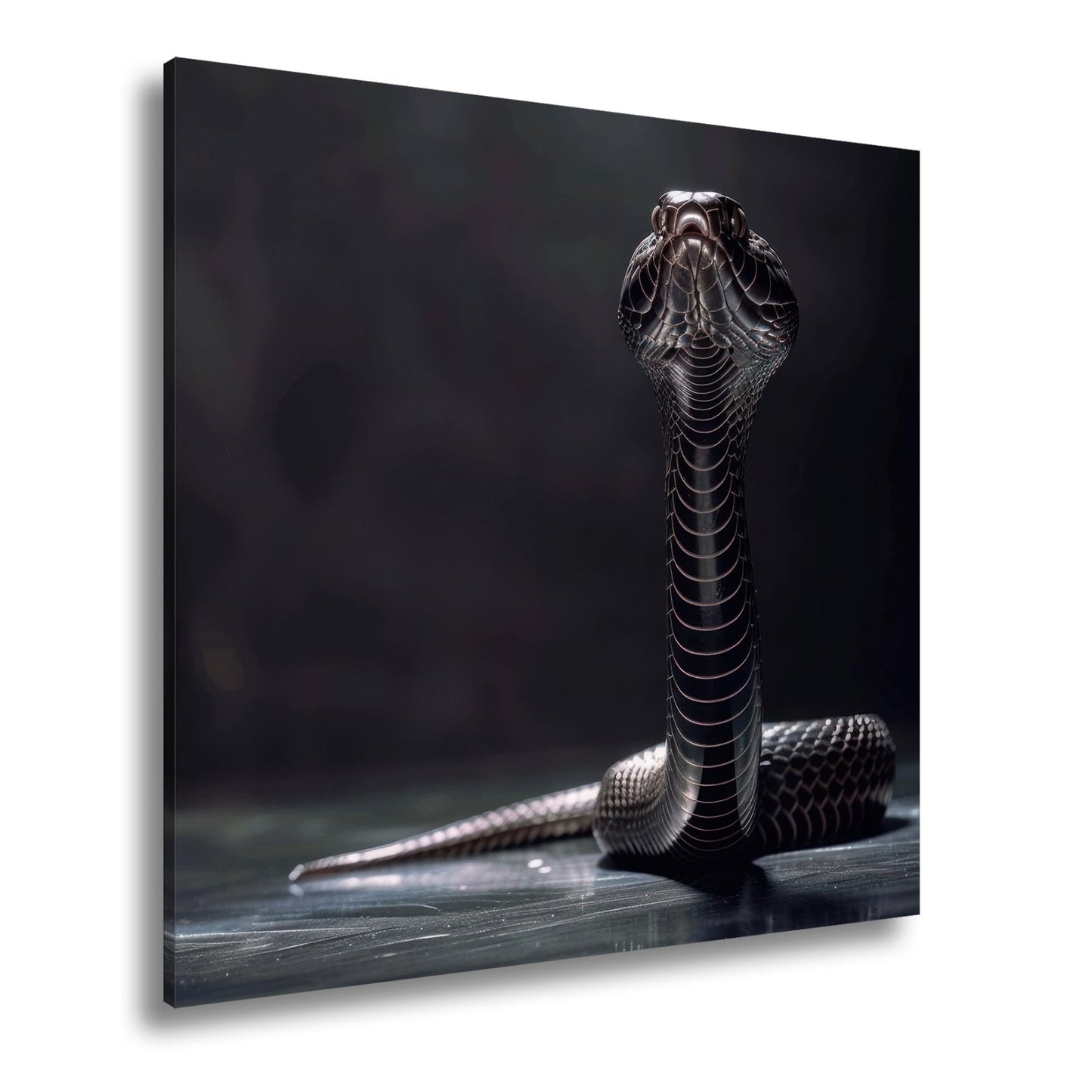 Leinwandbild Dunkle Cobra erhebt sich königlich im Schatten - deyoli