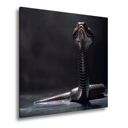 Leinwandbild Dunkle Cobra erhebt sich königlich im Schatten - deyoli