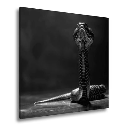 Leinwandbild Dunkle Cobra erhebt sich königlich im Schatten - deyoli