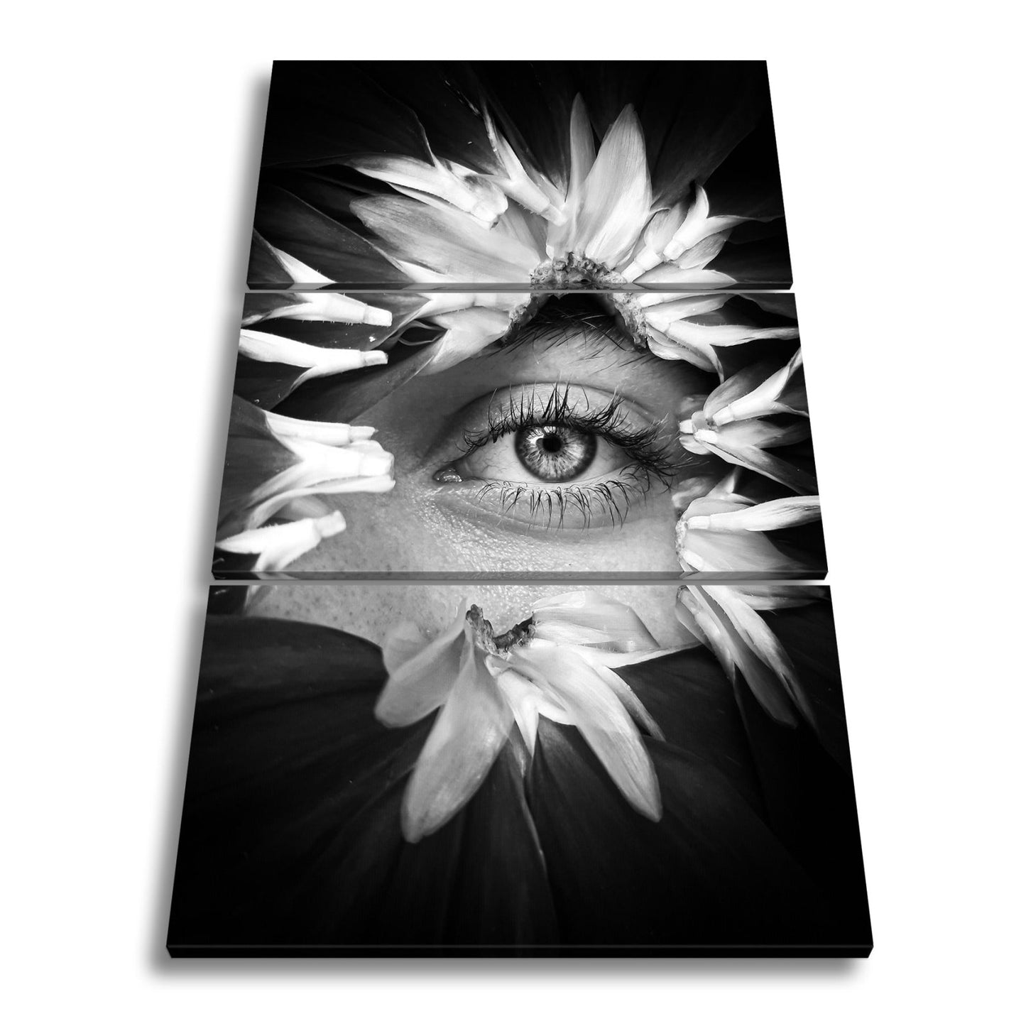 Leinwandbild Ein Auge wie ein Gedicht, umrahmt von blühender Tiefe - deyoli