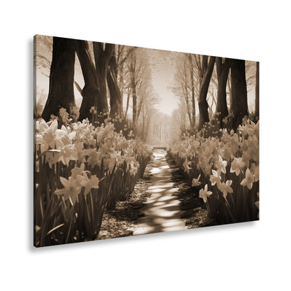 Leinwandbild Ein Blütenpfad ins Licht – Frühling tanzt im Wald. - deyoli