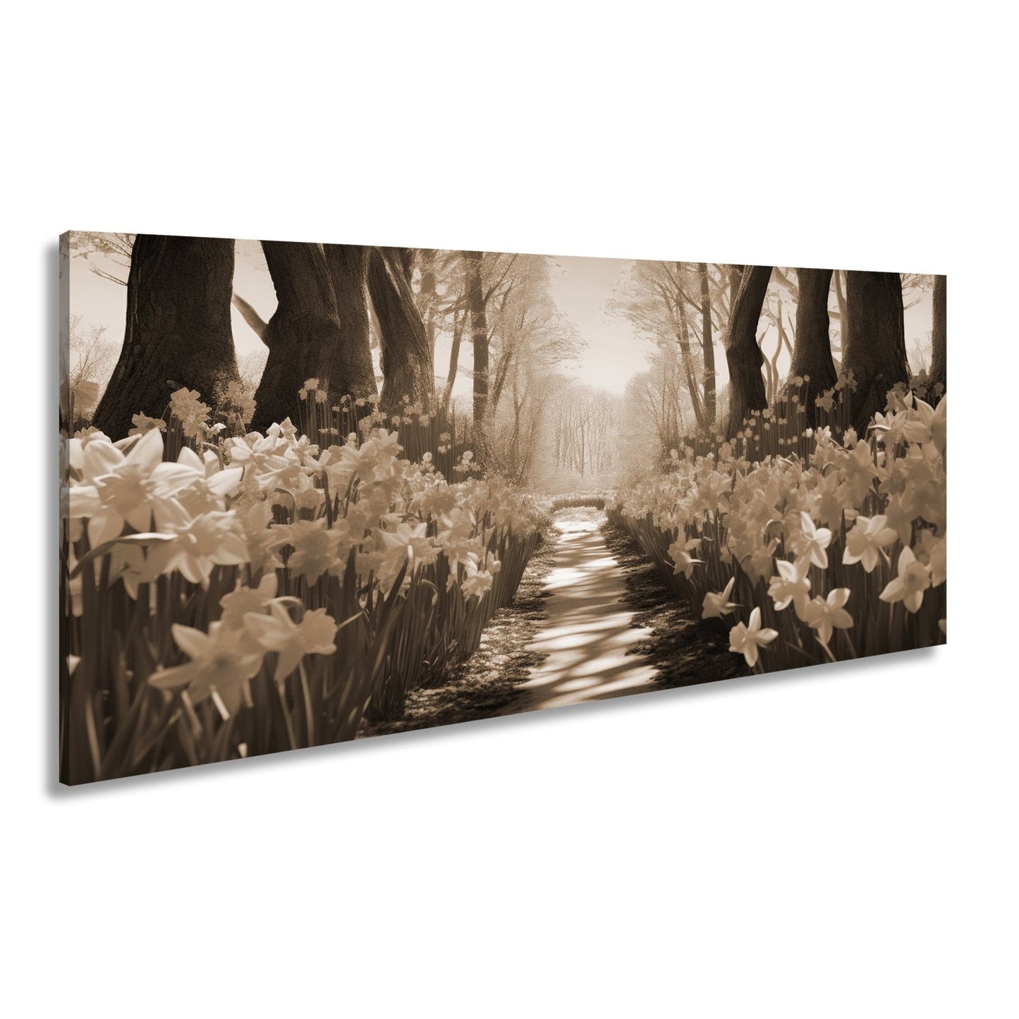 Leinwandbild Ein Blütenpfad ins Licht – Frühling tanzt im Wald. - deyoli