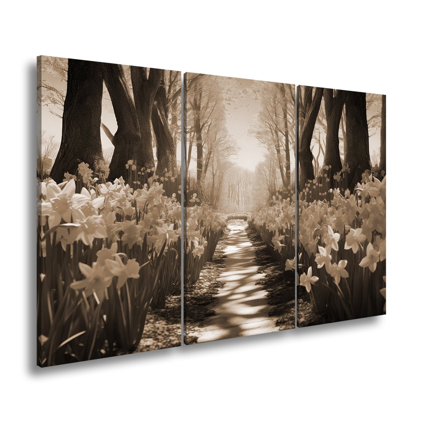 Leinwandbild Ein Blütenpfad ins Licht – Frühling tanzt im Wald. - deyoli
