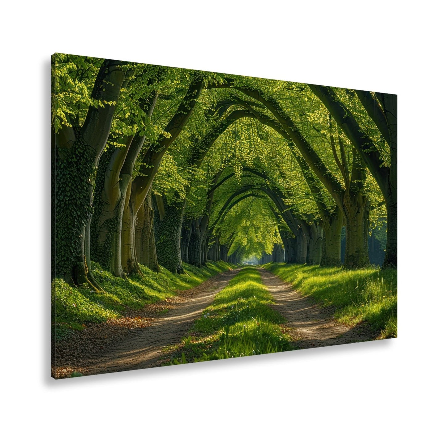 Leinwandbild Ein grüner Tunnel – Natur formt ein lebendiges Gewölbe. - deyoli